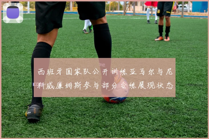 西班牙国家队公开训练亚马尔与尼科威廉姆斯参与部分合练展现状态